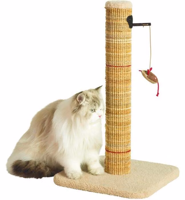 Tiragraffi per gatti, ZOLUX Boréal, sisal, con topolino giocattolo, 60 cm, beige