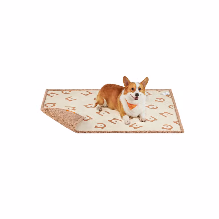 Coperta Impermeabile per Cani, Beige / L (127 x 101 cm)