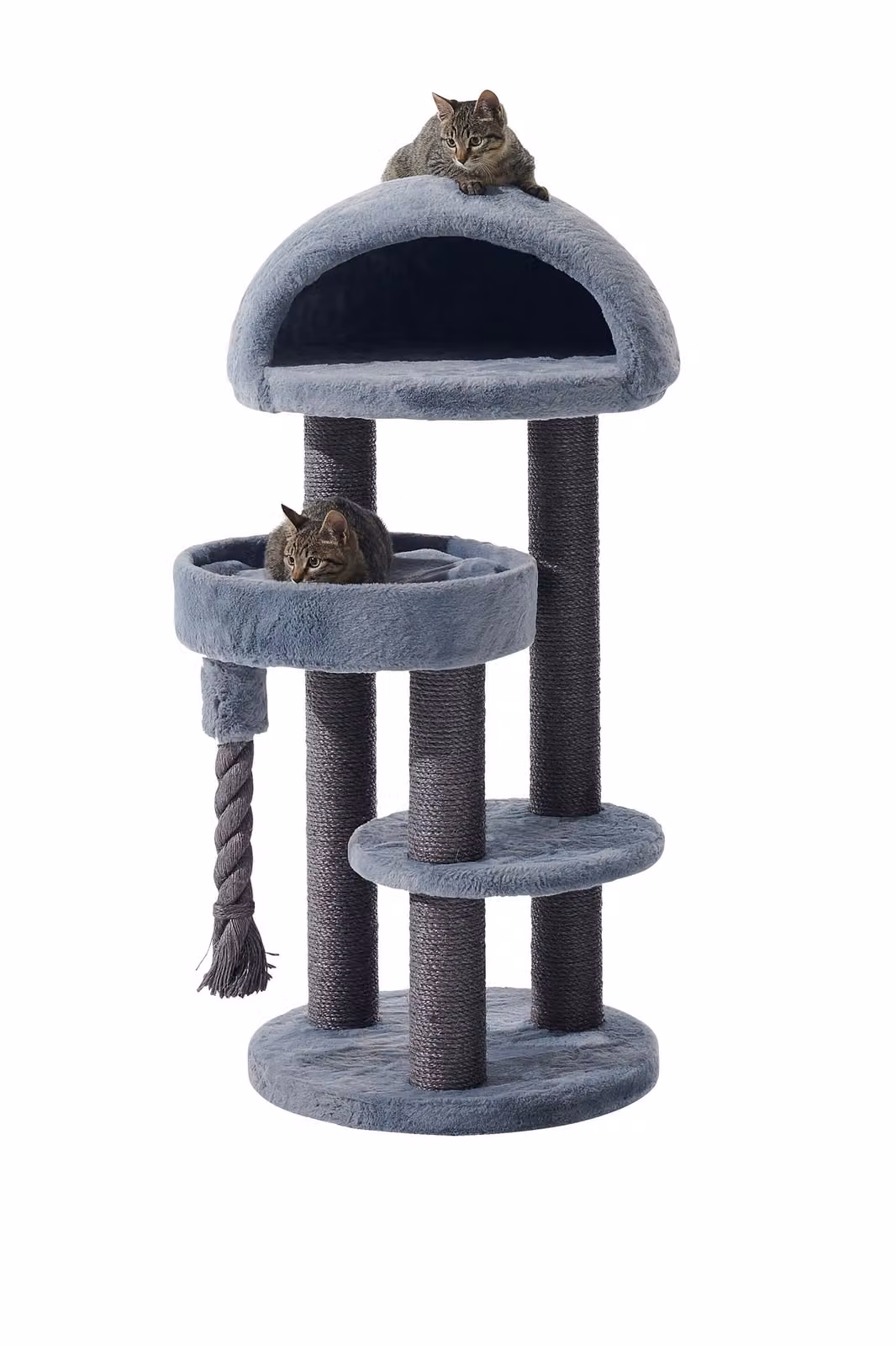 Albero per gatti "LITA" grigio, marca Nobby