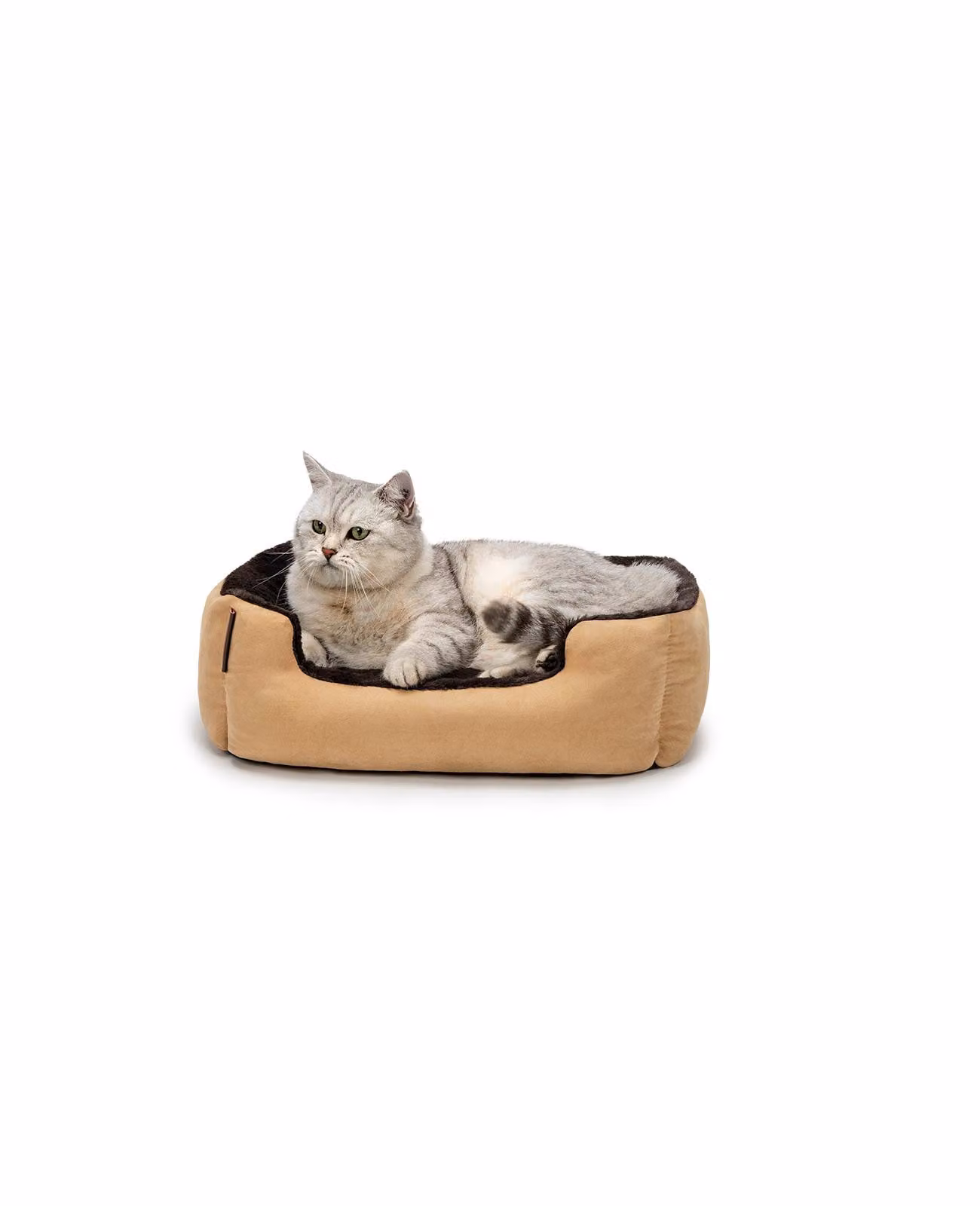 lettino per gatti lionto, soffice lettino con cuscino reversibile rimovibile e base antiscivolo, di facile manutenzione e moderno, 50x37 cm, beige/marrone
