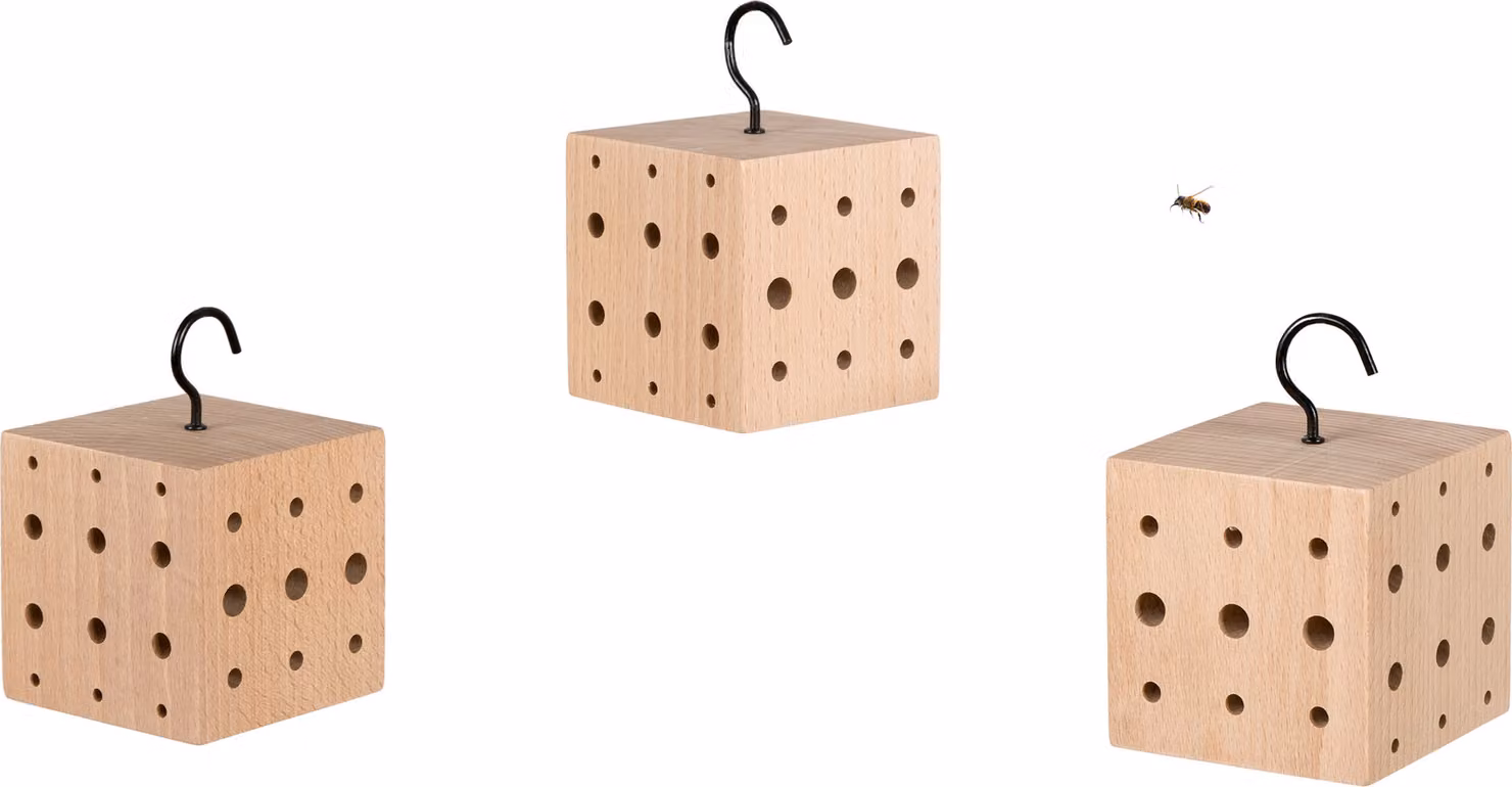 WONDERMAKE® Set di 3: hotel per insetti di design di piccole dimensioni, cubo in legno di faggio con 3x42 posti di nidificazione, hotel per api appeso, aiuto per le api selvatiche, marrone nero