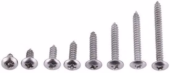 Set di viti in acciaio inossidabile - assortimento da 200 pezzi - autoperforanti - resistenti alla corrosione - con diverse forme di testa