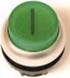 Eaton Electric GmbH Pulsante illuminato alto, verde, vuoto M22-DRLH-G (216796)