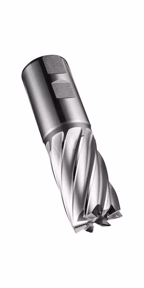 Fresa a candela C247 DIN 844 K D.26mm Lunghezza del tagliente 45mm HSS-E-PM Grezzo 30 gradi Z.6