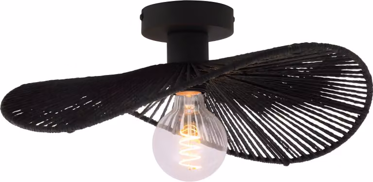 Lámpara De Techo TOOLIGHT APP1832-1C Black0