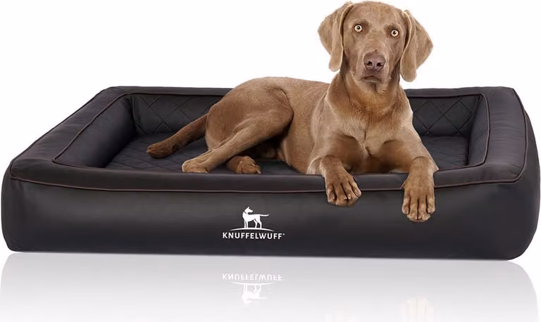 Cuccia ortopedica per cani Knuffelwuff in Pelle finta trapuntata al laser Hampstead 120 x 100 cm nero