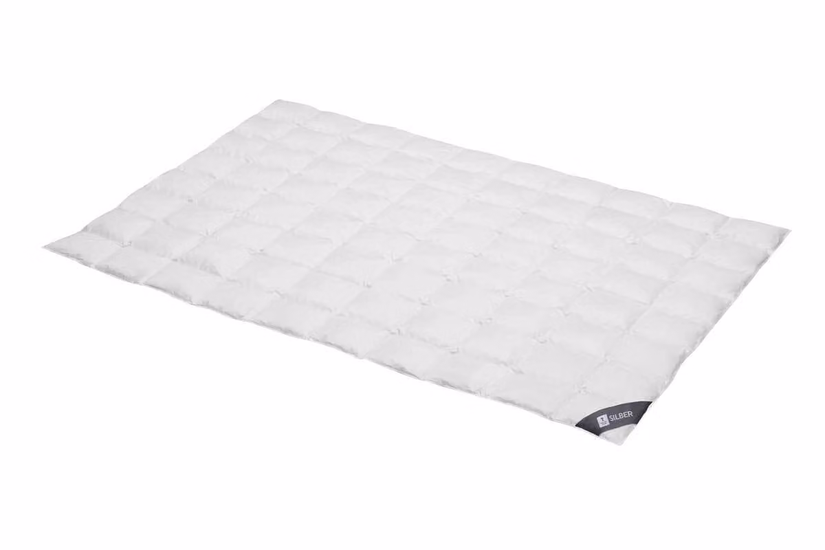 Spessarttraum Piumino Piumino d'oca Argento 135 x 200 cm Extra leggero