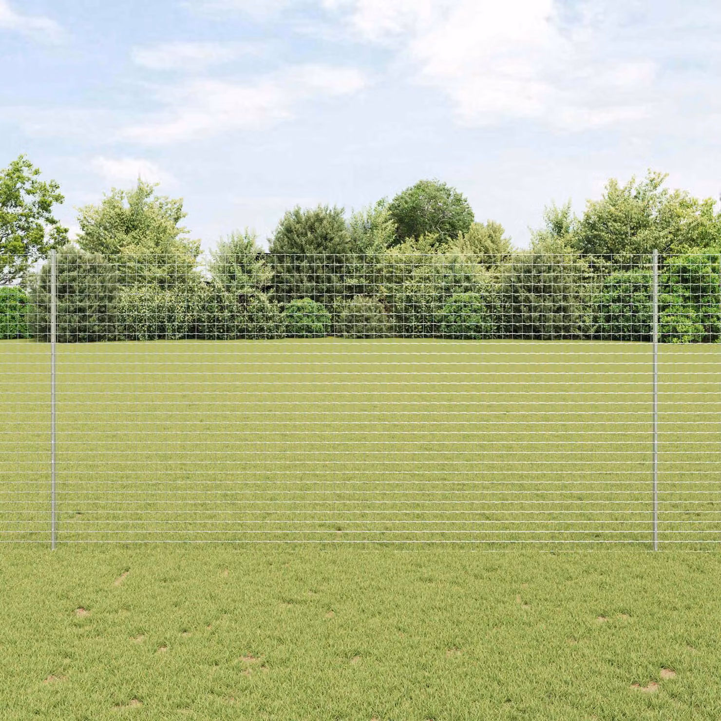 Recinzione in Rete Saldato 10 x 1,6 m (L x A)