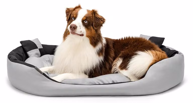 lionto, cuccia per cani 4-in-1 - Impermeabile, nero/grigio, 110x80 cm