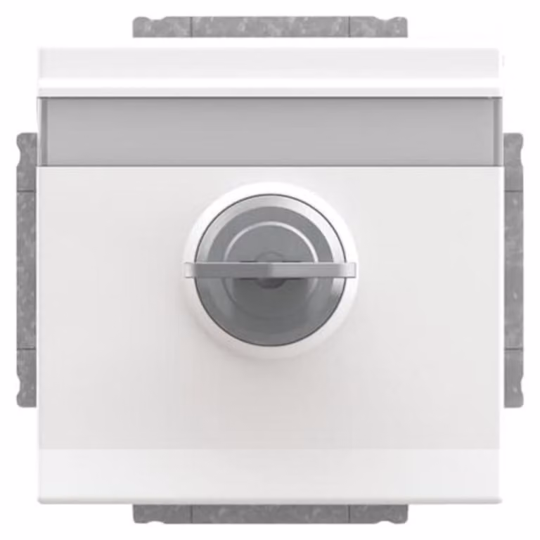 Busch-Jaeger SCHUKO inserto presa 20 EUKNBSL-84-101 2CKA002018A1564