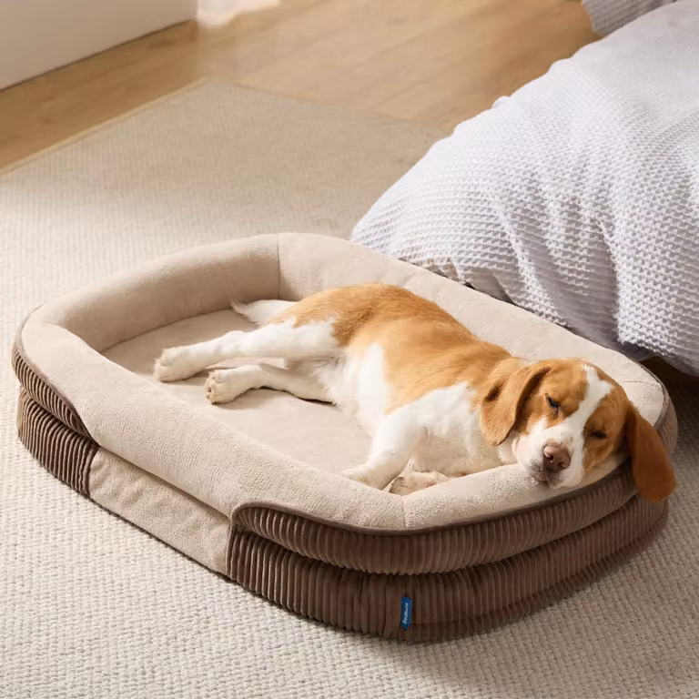 Cuccia ortopedica per cani, 89x64x18 cm, color marrone, con imbottitura impermeabile