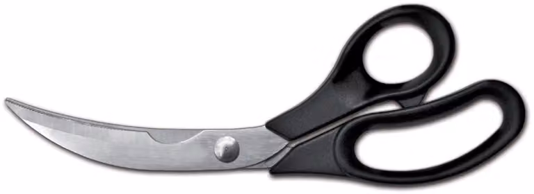 Forbici trinciapollo, lame inox cm 12 di Sanelli Ambrogio