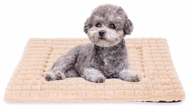 Cuccia per cani in memory foam, lavabile, dimensioni 61x46 cm