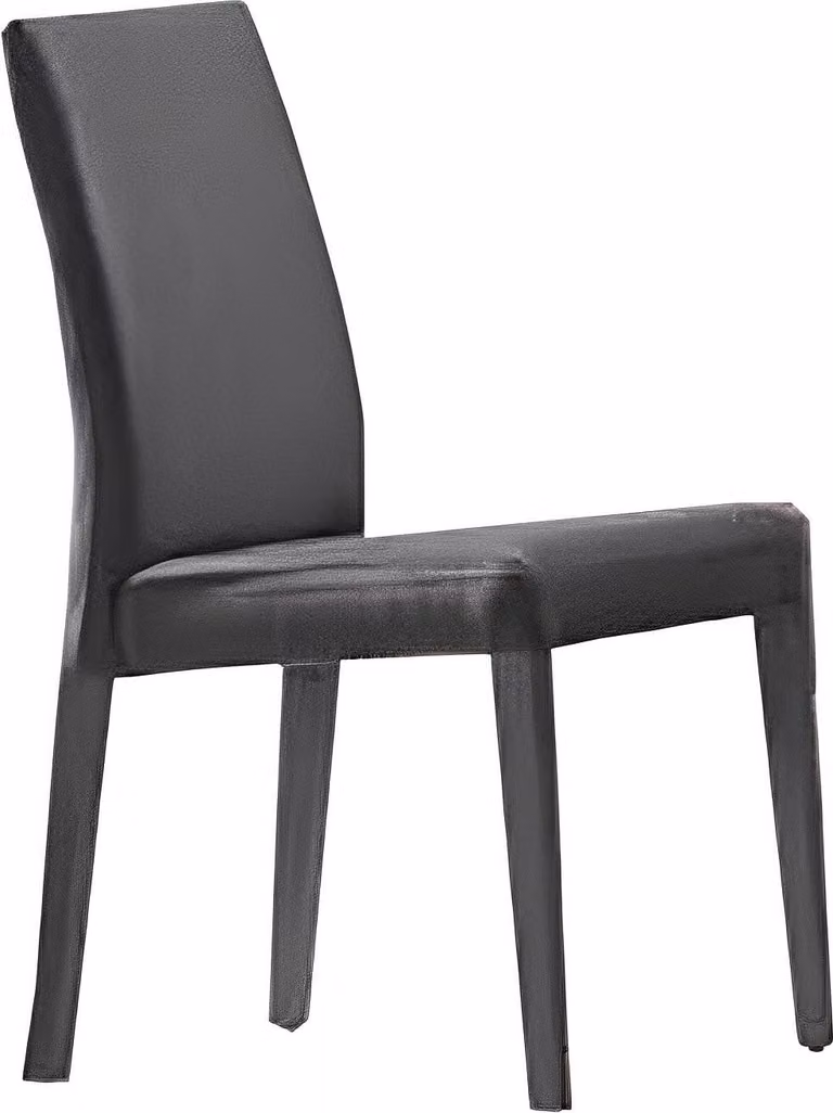 Esszimmerstuhl Sitzmöbel Modern Design Holz Schwarz Luxus Möbel Lehnstuhl Stuhl