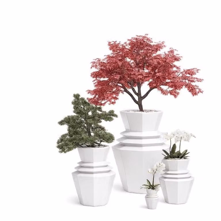Vaso Hinoki Vondom Illuminabile