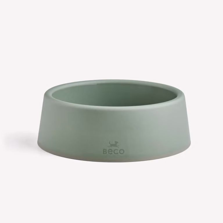 Cuccia per cani in plastica, verde, grande