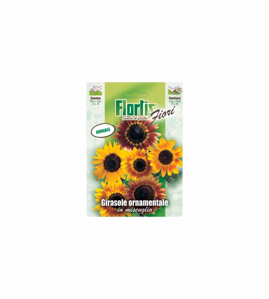 Flortis Semi di Girasole Ornamentali - Pronti per Semina