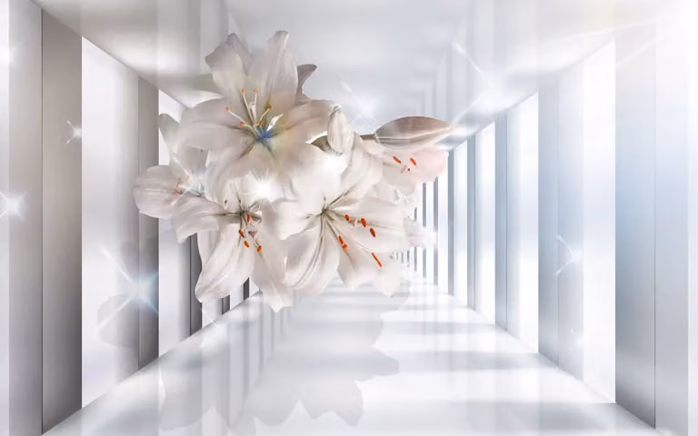 Tappetino magnetico per rivestimenti di radiatori, fiori 3D bianchi decorativi, 60x100cm