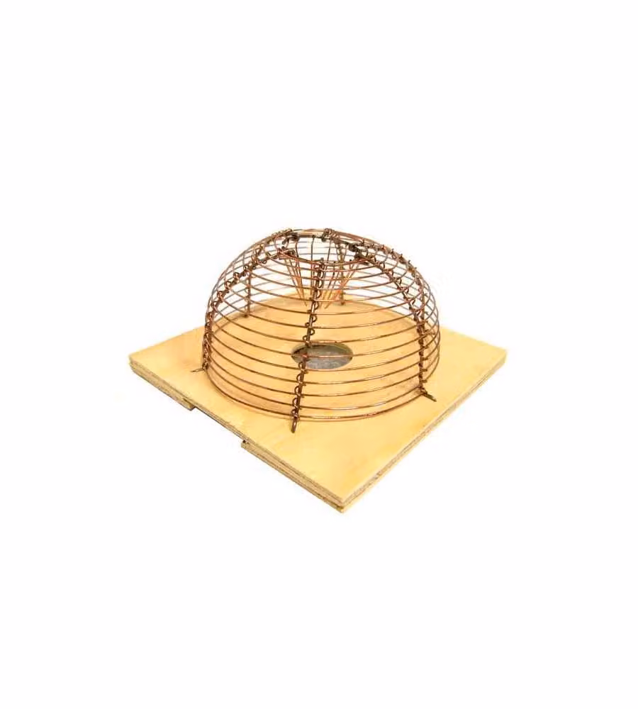 Trappola Topi Pagnotta 1 Ingresso Cm15 236102 Keim