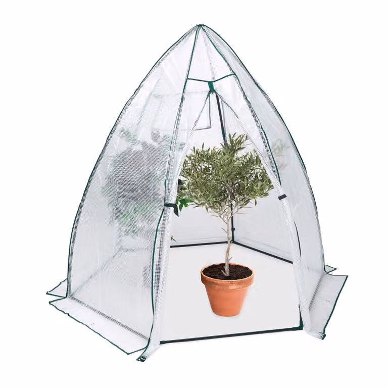 Tenda da svernamento Relaxdays, serra in pellicola, dimensioni: 185x180x160 cm, protezione invernale per piante, porta e finestra, trasparente