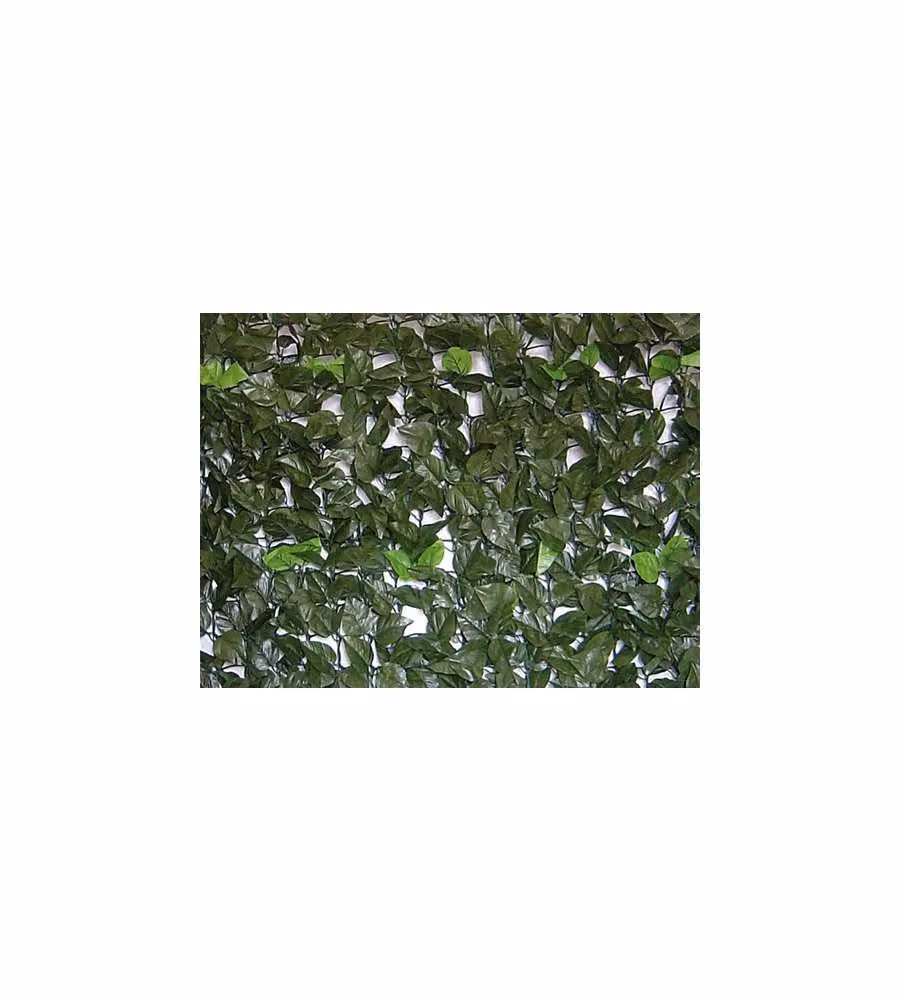 Siepe Evergreen Brixo Lauro 1,5X20Mt
