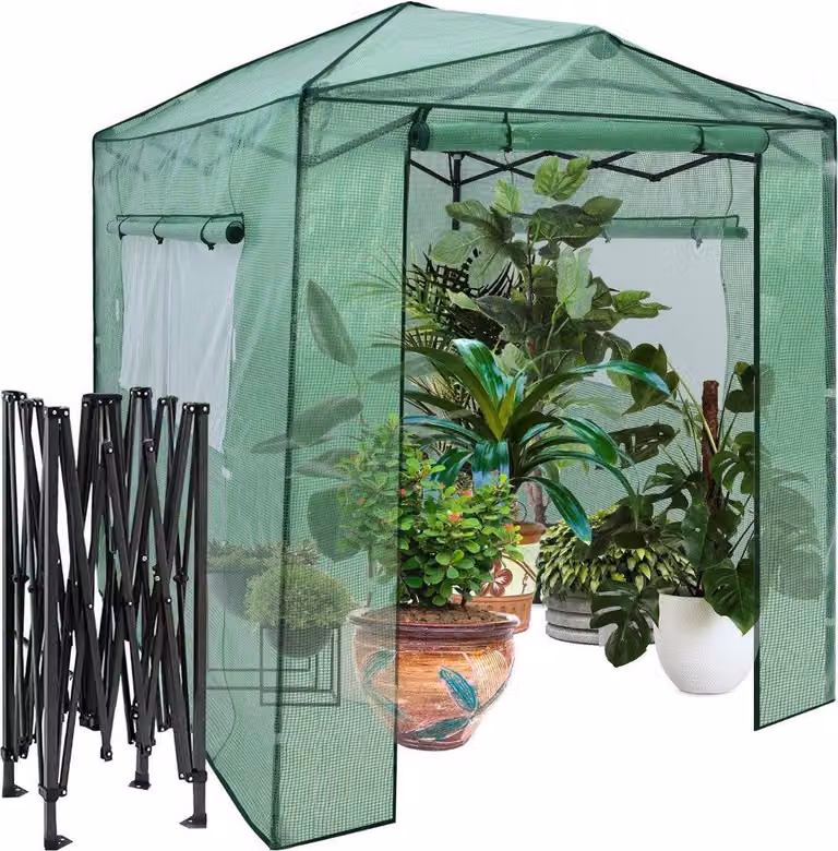 Serra portatile pop-up Serra da giardino walk-in 180 x 250 x 230 cm Verde