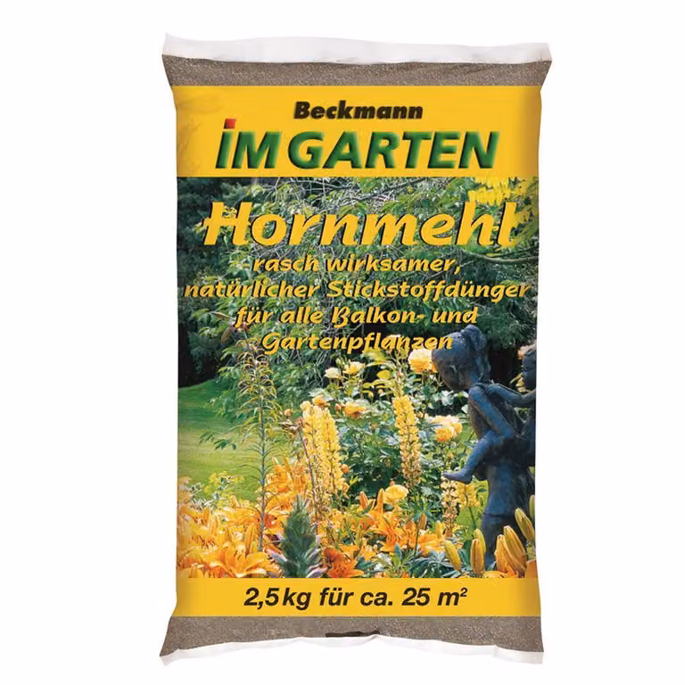 BIG Polvere di corna 2,5 kg