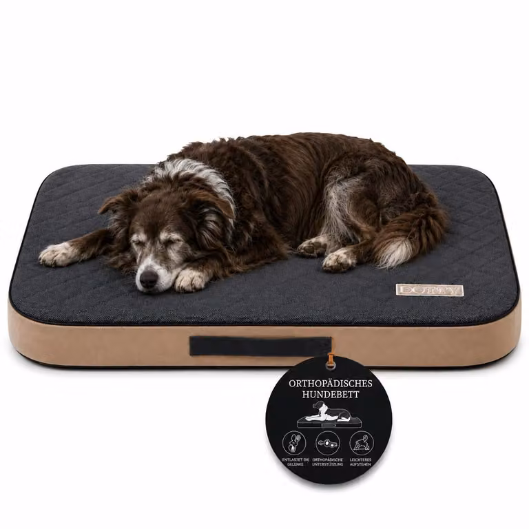 Materasso ortopedico per cani, cuccia, delicato sulle articolazioni, dimensioni L 100x75 cm, colore grigio