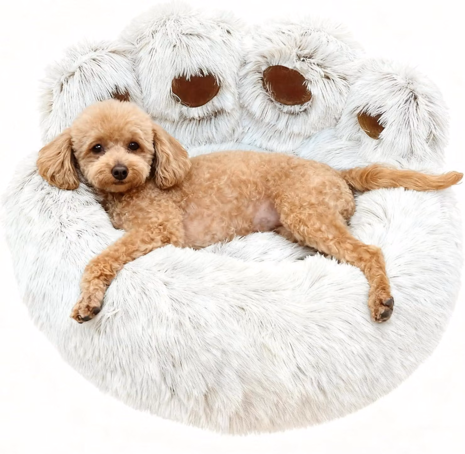 Cuccia per animali domestici, 65 cm, confortevole, lavabile, antiscivolo, per cani