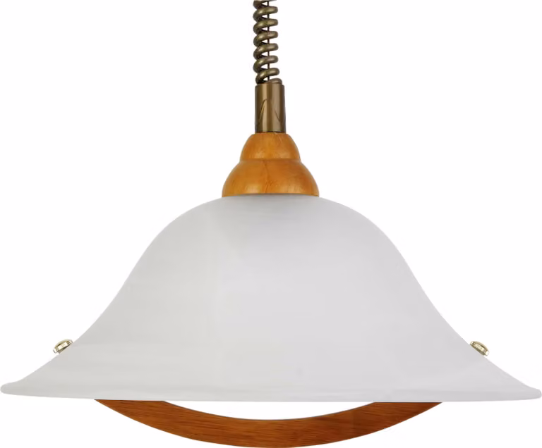 Lampada a sospensione Brillante Torbole PE 1 RZ con cavo a rullo; 73678/72