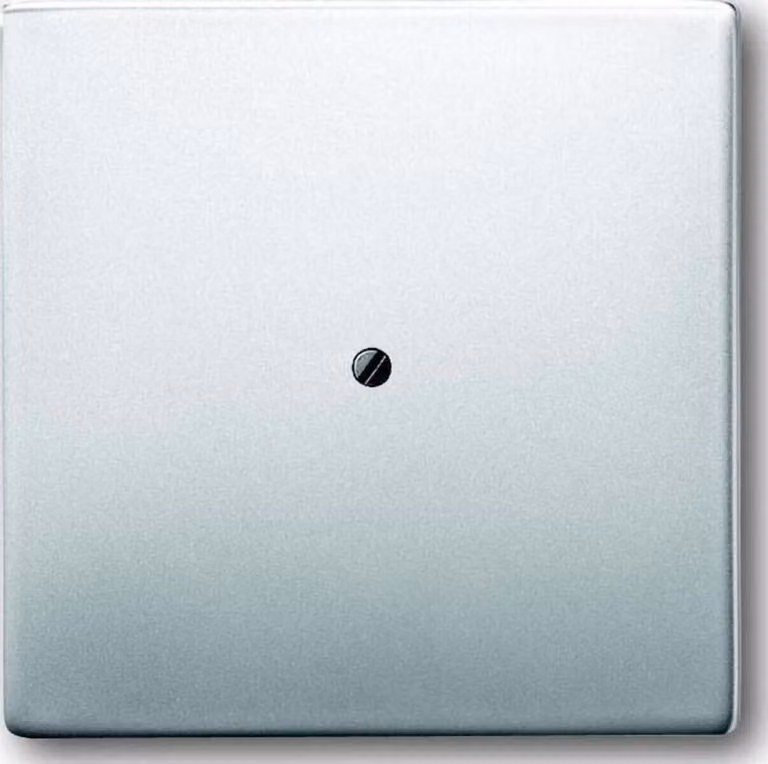 Busch-Jaeger 1745-866 Piastra centrale in acciaio inox