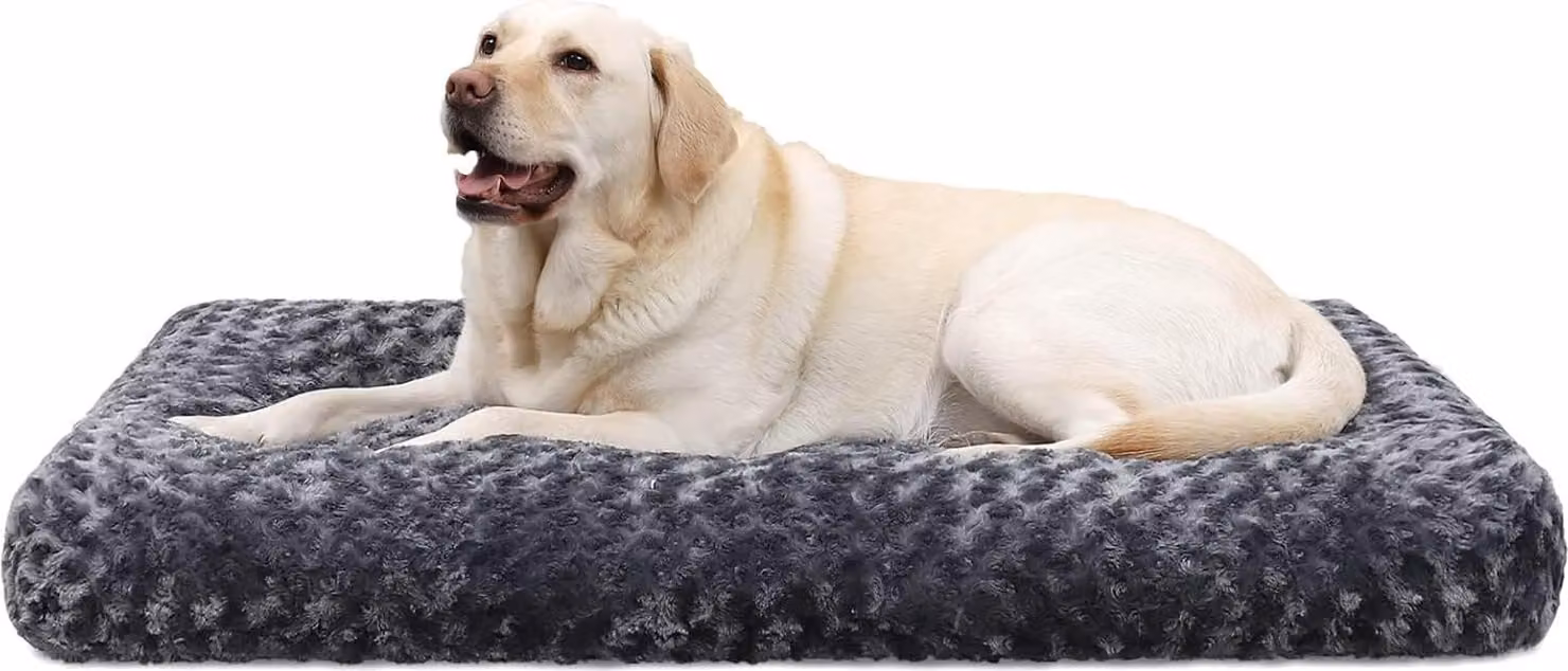 Cuccia per cani di grossa taglia - lavabile - cuscino per cani - 90 x 60 cm - imbottitura spessa 8 cm