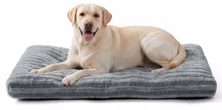 Cuccia per cani, lavabile, morbida, grigia, dimensioni 90x60x9 cm