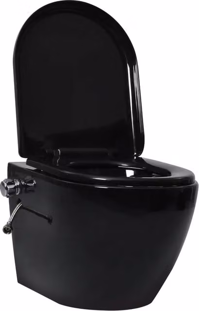 Toilette Senza Bordi Muro con Cassetta Scomparsa Ceramica Nera 3200553