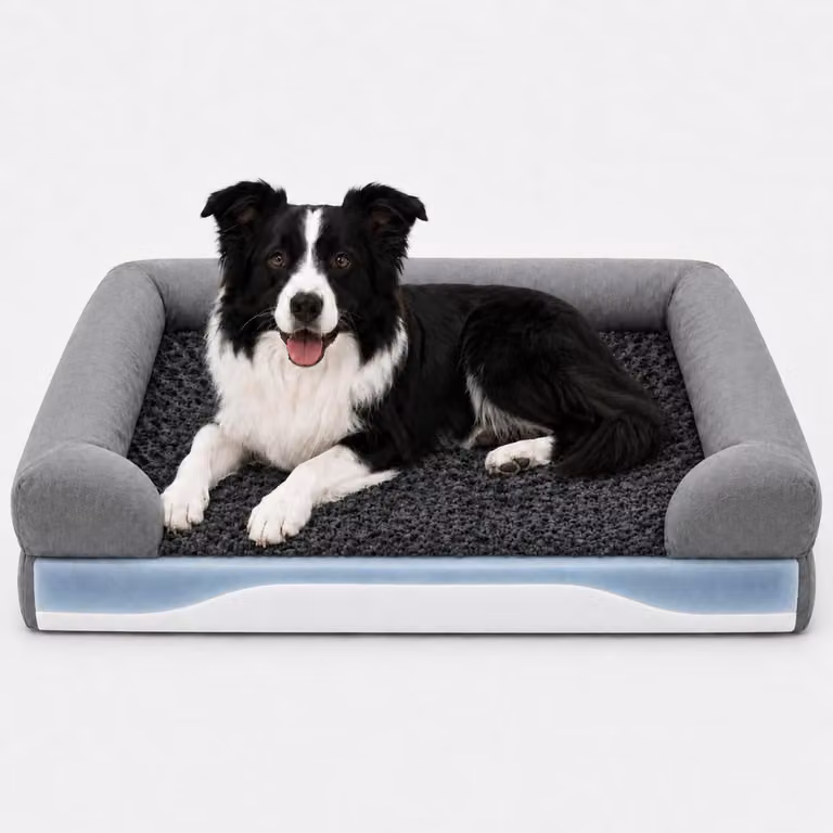 Cuccia ortopedica per cani di medie dimensioni, dimensioni 90x63x16 cm, con memory foam, bordo ergonomico, impermeabile e rivestimento removibile