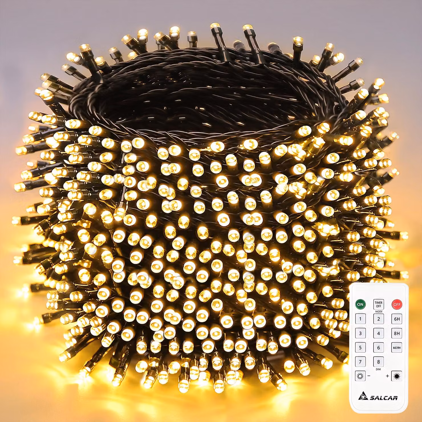 Salcar 40m 640 LED luci fiabesche indoor 8 modalità di luce e funzione di memoria giardino LED tenda luminosa decorazione matrimonio Natale