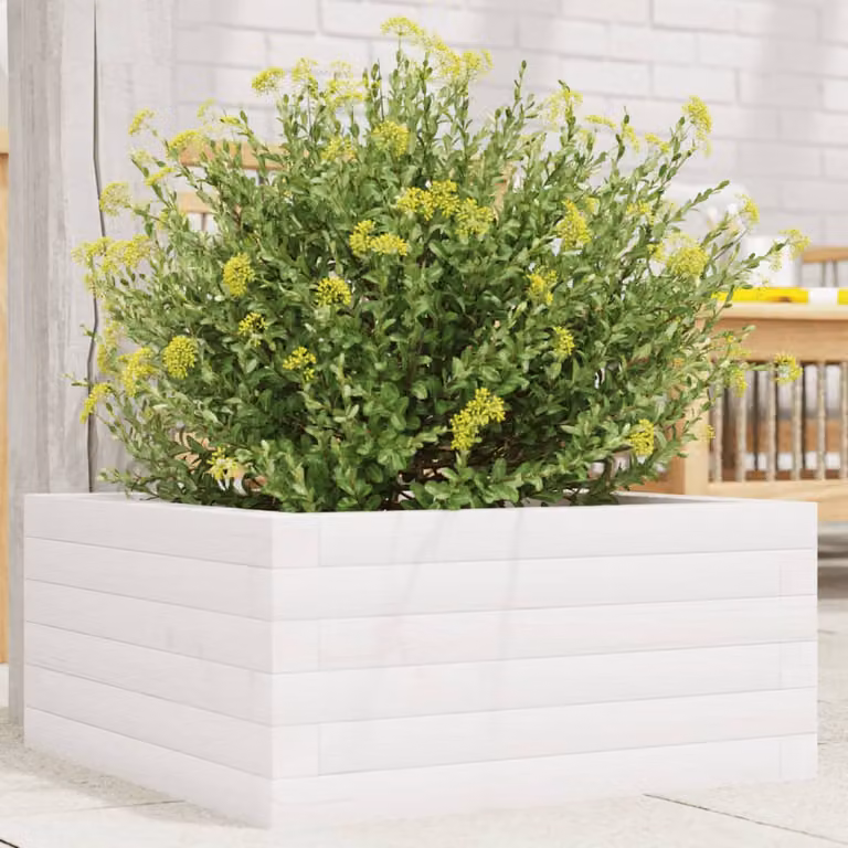 vidaXL Fioriera da Giardino in Legno di Pino Bianco L/P/H: 50 x 50 x 23 cm