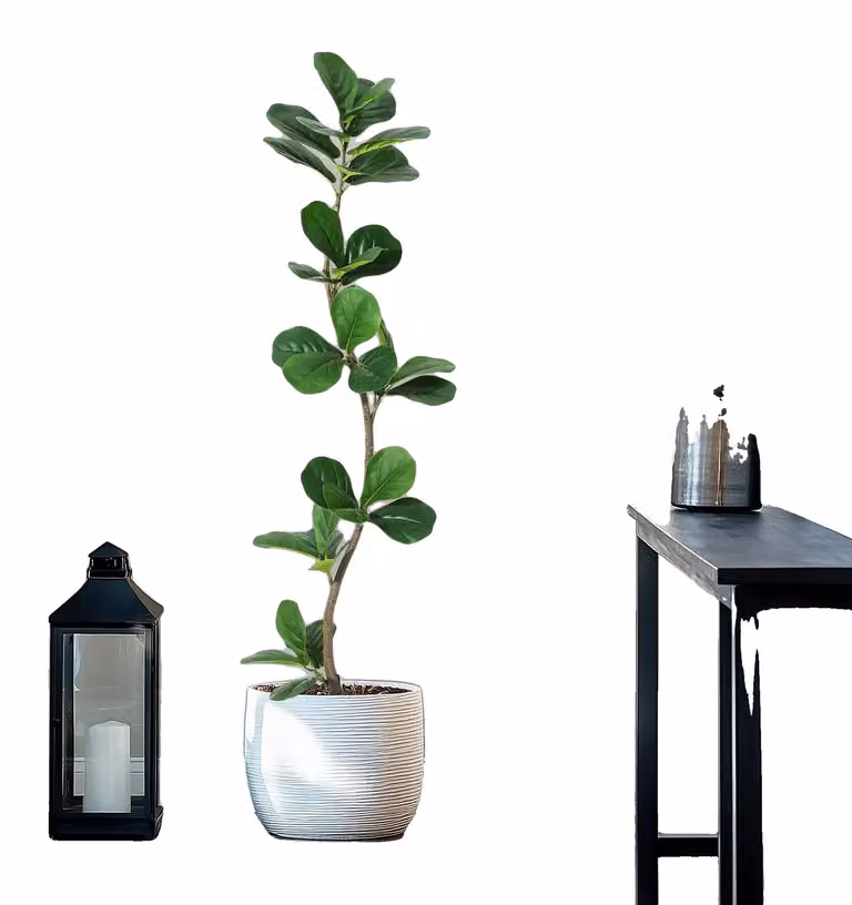 Pianta artificiale, aspetto realistico, facile da curare, 150 cm