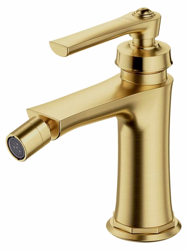 Rubinetto per bidet Armance, in ottone spazzolato, monocomando, con un foro