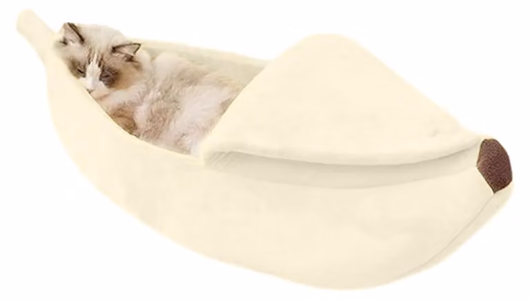 Cestino portatile per banane, ideale per cani e gatti