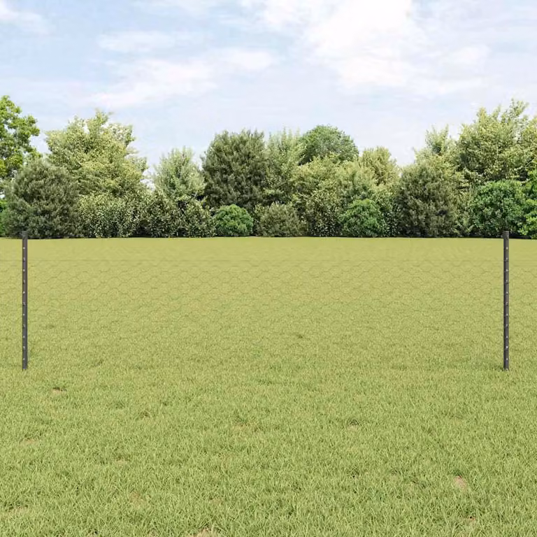 Recinzione in Rete Saldato 10 x 0,5 m (L x H)