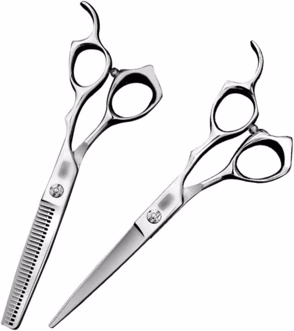 Forbici da parrucchiere da 6 pollici, professionali di alta qualità, per taglio capelli, set combinato: forbici lisce + forbici a denti, colore argento