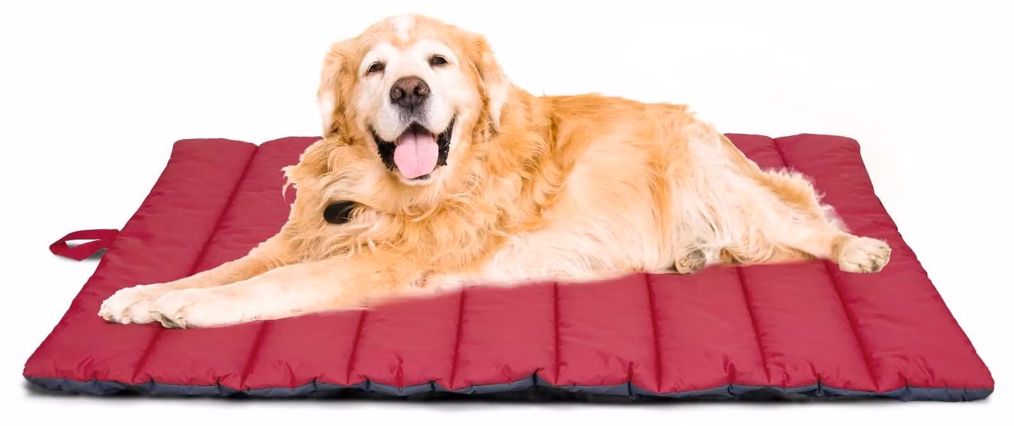 Tappetino impermeabile per cani, cuccia per animali domestici lavabile, igienica e pieghevole, colore rosso/grigio