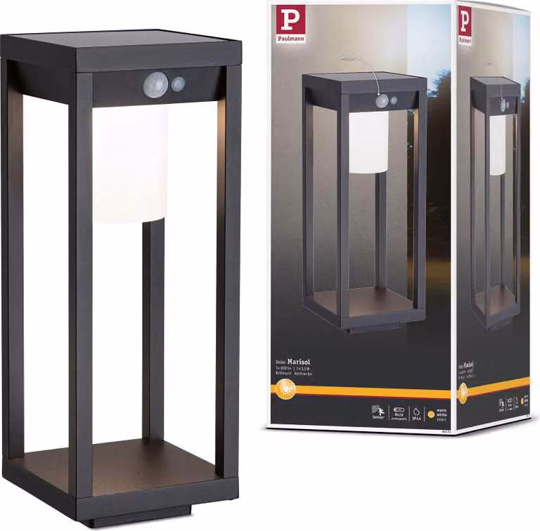 Paulmann Oggetto luminoso solare a LED Marisol