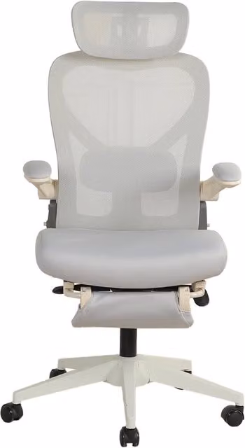 Sedia da Ufficio in Schiuma con Poggiatesta 3D e Supporto Lombare; Grigia; per Studio e Lavoro