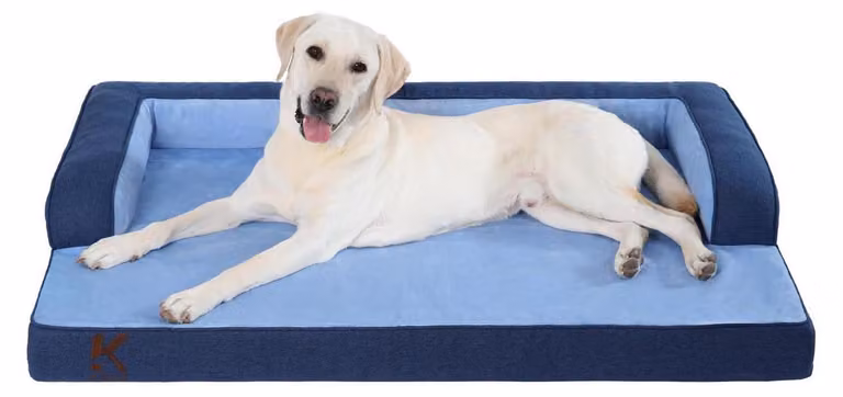 Cuccia ortopedica per cani, colore blu, dimensioni 104x68x17 cm. Imbottitura removibile e lavabile
