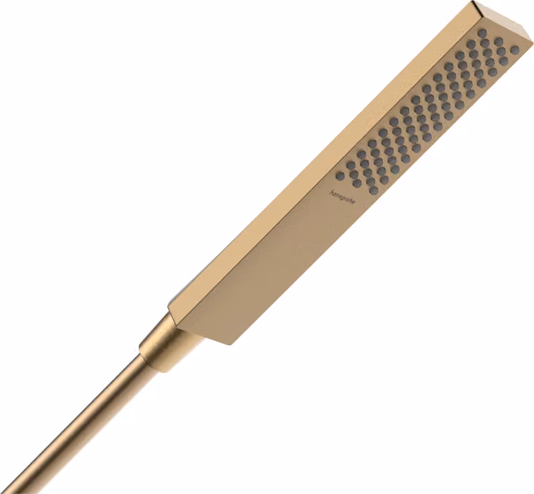 hansgrohe Pulsify E Douchette à main 100, 1 type de jet, EcoSmart+, 24321140, 24321140