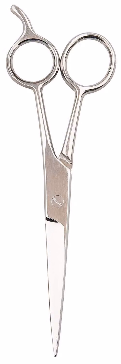 Forbici per capelli Titania con gancio in acciaio inox