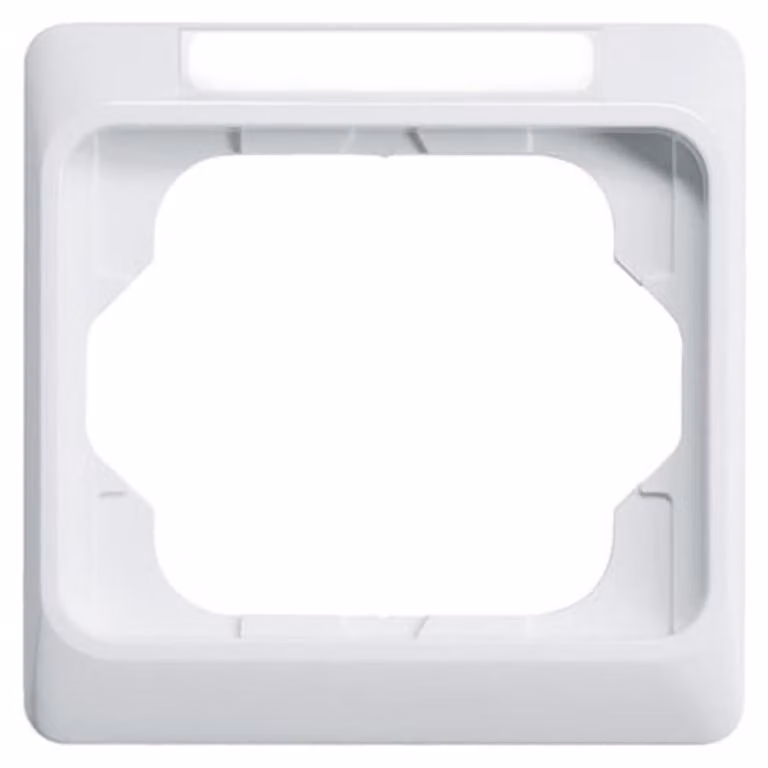 Telaio Busch-Jaeger 1-gang stws, orizzontale, visibile Visibile 1721 NSKA-24G