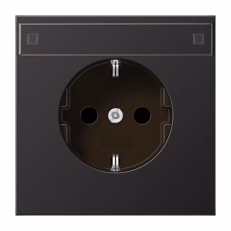 Jung AL1520KINAD Schuko® Presa 16 A 250 V ~ scura (alluminio verniciato)